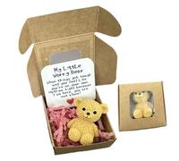 Little Bear in a Box, My Little Worry Bear - Mini Animal Hecho a Mano para Hombres, Mujeres, Amantes, Adultos, niños, Amigos, Apoyo Diario de Comodidad