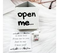 Little Bear in Box, My Little Worry Bears, mini osos de bolsillo con tarjeta alentadora, adorable oso de apoyo positivo emocional, regalos de relación para cumpleaños, día de San Valentín, amigos