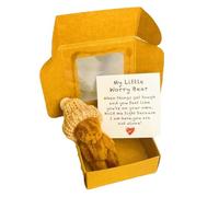 Little Bear in the Box - Regalo de peluche Kedensake, de bolsillo | Pequeño animal hecho a mano con tarjeta de mensaje, comodidad para niños pequeños, de bebé, San Valentín