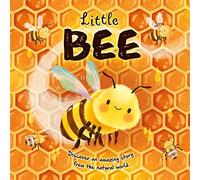Little Bee: Discover an Amazing Story From the Natural World