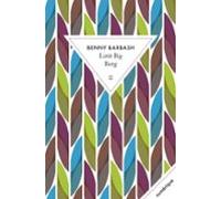 Little Big Bang (ebook)
