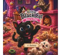 Little Black Cat: How to Play!