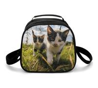 Little Cat on The Grass - Bolsa de almuerzo cruzada pequeña aislada con correa de hombro ajustable, lonchera reutilizable para el trabajo, picnic, viajes