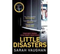 Little Disasters (ebook)