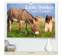 Little Donkey with Friends (High Quality Premium Wall Calendar 2026 DIN A2 landscape),CALVENDO 12 Month Wall Calendar: Sweet donkey with his lovley Friends