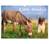 Little Donkey with Friends (Wall Calendar 2026 DIN A3 landscape), CALVENDO 12 Month Wall Calendar: Sweet donkey with his lovley Friends