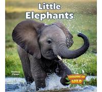 Little Elephants (Growing Up Wild)