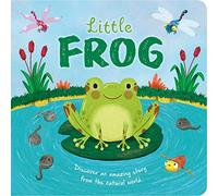 Little Frog: Padded Board Book (Nature Stories)