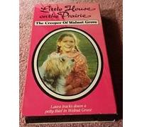 Little House on the Prairie [USA] [VHS]