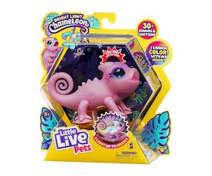 Little Live Pets - Calm A Chameloen - Nova (26365)