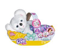 Little Live Pets Cozy Dozy Kip The Koala Bear: m s de 25 sonidos y sonidos