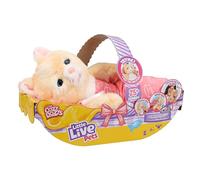 Little Live Pets Cozy Dozys Ginger The Pet Cat - Juguete interactivo de peluche electrónico con más de 25 sonidos, juguetes suaves para dormir para niños a partir de 4 años