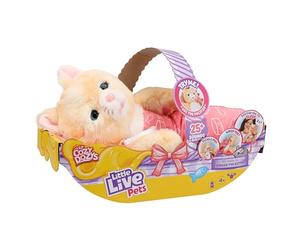 Little Live Pets Cozy Dozys Ginger The Pet Cat - Juguete interactivo de peluche electrónico con más de 25 sonidos, juguetes suaves para dormir para niños a partir de 4 años