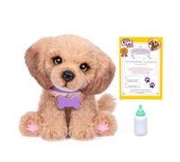 Little Live Pets My Really Real Puppy - Bailey - Peluche Interactivo con +60 Sonidos y reacciones - 32,8 cm - Parpadeo Realista - Come y emite Sonidos como un Perrito de Verdad - A Partir de 4 años