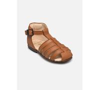 Little Mary Jules 19 Marrón