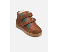 Little Mary Leio 23 Marrón