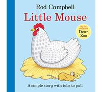 Little Mouse (Aziza's Secret Fairy Door, 95)