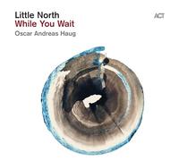 Little North – While You Wait – Vinilo 180 g negro – A.C.T.