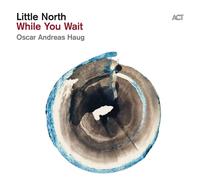 Little North While You Wait (Vinyl) 12" Album