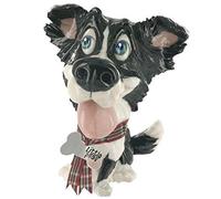 Little Paws Arora Design, Gyp The Border Collie