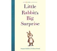 Little Rabbit's Big Surprise: 1 (Colour Fiction)