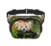 Little Red Panda Riñonera Cuadrada de Doble Capa, Bolso Bandolera para Correr, Viajes, Senderismo, Negro, Talla Única