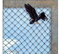 LITTLE RIVER BAND - the net LP