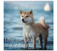Little Samurais - The Shiba Inu (Wall Calendar 2026 12" x 24" / 30 x 60 cm (open)) CALVENDO 12 Month Wall Calendar