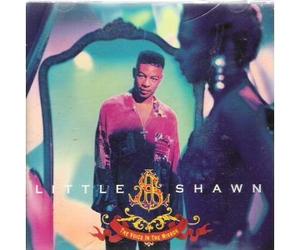 Little Shawn - The Voice In The Mirror