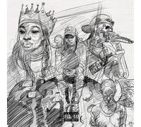 Little Simz - A Curious Tale Of Trials + Persons [Vinilo]