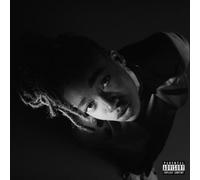 Little Simz – Grey Area – Vinilo 12" (Importación USA)