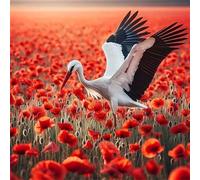 Lituor 5D Poppy Crane Diamond Art Painting Kits for Adults,Flower Birds Diamond Painting for Beginner,DIY Full Cross Stitch Embroidery Art Pictures Home Wall Decor Gift Round Drill,95x95 cm