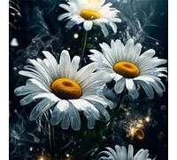 Lituor 5D White Flowers Diamond Art Painting Kits for Adults,Daisies Diamond Painting for Beginner,DIY Full Cross Stitch Embroidery Art Pictures Home Wall Decor Gift Square Drill,75x75 cm