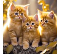 Lituor 5D Yellow Cats Diamond Art Painting Kits for Adults,Cute Animals Diamond Painting for Beginner,DIY Full Cross Stitch Embroidery Art Pictures Home Wall Decor Gift Square Drill,95x95 cm
