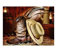 Lituor Pintar por Numeros Adultos,Botas de vaquero DIY Pintura por Números,sin Marco Kit de Pintura al óleo de Lienzo para Adultos Niños con Pinceles Paint by Numbers para Hogar Decor 40x50cm