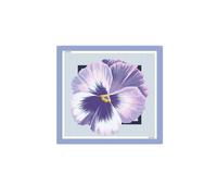 Liu Jo Chal '2A6053 T2745' azul claro / orquidea / blanco One Size azul claro / orquidea / blanco