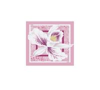 Liu Jo Chal '2A6053 T2745' rosa claro One Size rosa claro