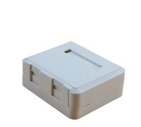 LIUDONGX La Caja de Conexiones de Cable de Red de computadora de Puerto único/Doble Puede equiparse con un módulo de Voz CAT5E CAT6 Clase 5 y Clase 6(Dual Port Box)