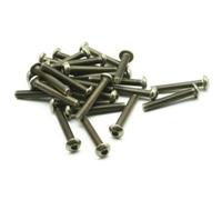 LIUDONGX Perno de Titanio M2 M2.5 x4-20mm Cabeza Hexagonal Pernos Ti Color Ti no Pulido Tornillos de Titanio de accionamiento Cruzado Sujetador Ti(M2.5x10mm)