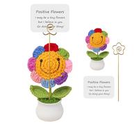 Liuer Flores Positiva, Regalos de Despedida para Colegas y Amigos, Personalizado