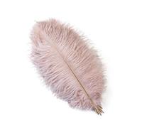 LIUHLFSR 10 piezas/lote de plumas naturales colores for manualidades, decoración bodas, fiestas, centros mesa reales para Espectáculos, Decoración, Fiestas(Color-25,35-40cm)