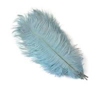 LIUHLFSR 10 piezas/lote de plumas naturales colores for manualidades, decoración bodas, fiestas, centros mesa reales para Espectáculos, Decoración, Fiestas(Light blue,45-50cm)