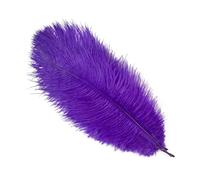 LIUHLFSR 10 piezas/lote de plumas naturales colores for manualidades, decoración bodas, fiestas, centros mesa reales para Espectáculos, Decoración, Fiestas(Deep Purple,35-40cm)