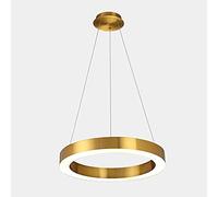 LIUNJHUY Lámpara nórdica Moderna LED Anillo Colgante luz Oro Cepillado acrílico Sombra Bar Restaurante LED lámpara de Techo Comedor Dormitorio Sala decoración lámpara suspensión Interesting