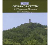 Liuwe Tamminga - Historic Organs of Modena Italy
