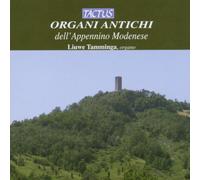 Liuwe Tamminga - Historic Organs of Modena Italy