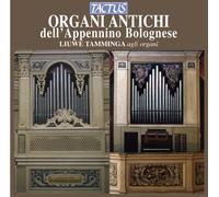 Liuwe Tamminga - Organi Antichi dell'Appennino Bolognese