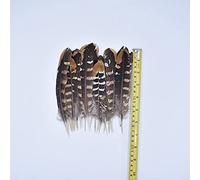 LIUXIN 10 Piezas de Plumas de águila Naturales Reales para Manualidades de decoración, joyería de Carnaval, Accesorios para Manualidades, decoración de Plumas