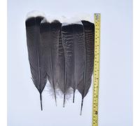 LIUXIN 10 Piezas de Plumas de águila Naturales Reales para Manualidades de decoración, joyería de Carnaval, Accesorios para Manualidades, decoración de Plumas