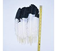 LIUXIN 10 Piezas de Plumas de águila Naturales Reales para Manualidades de decoración, joyería de Carnaval, Accesorios para Manualidades, decoración de Plumas